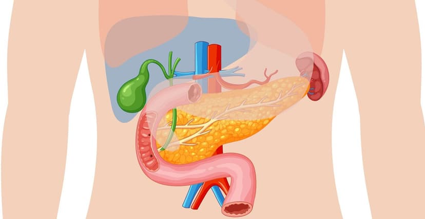 Gastroenterology