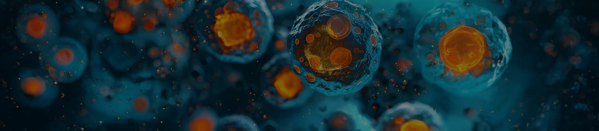 Stem Cell Therapy